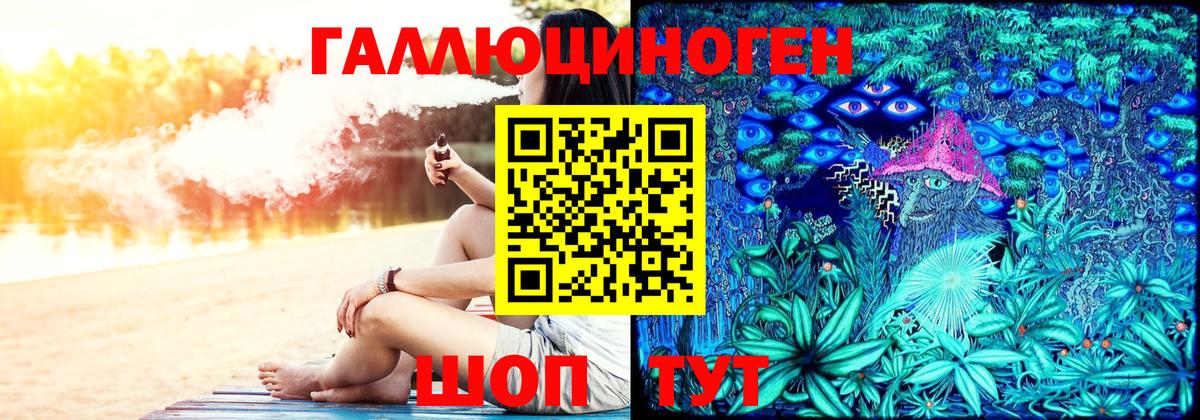 Галлюциногенные грибы Psilocybe Волжск